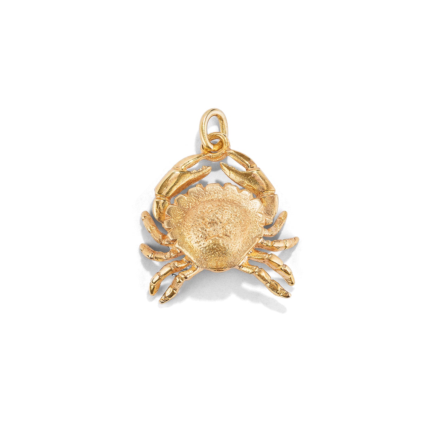 Ciondolo scultura cancro