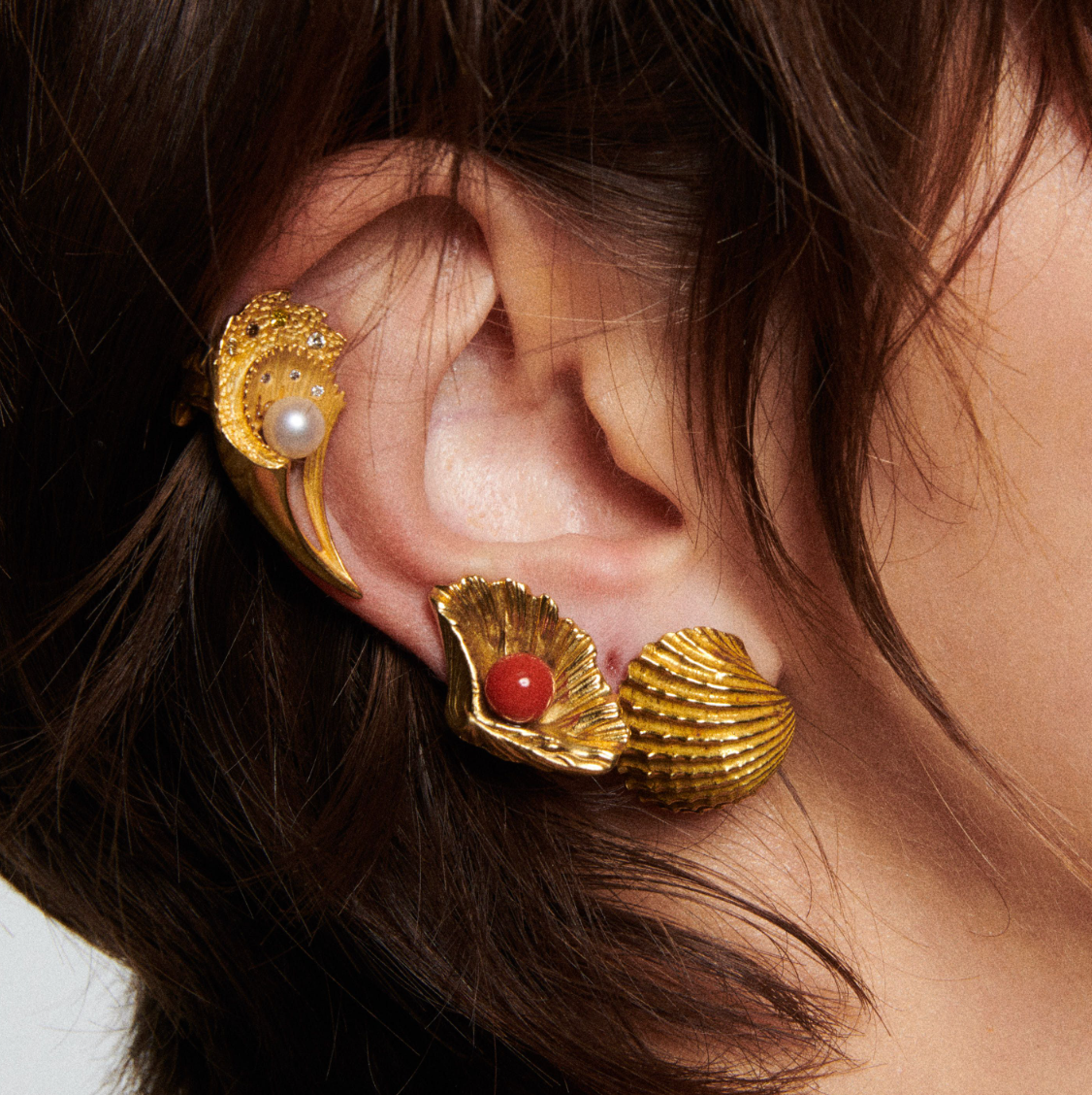 Coral Conchiglia Earrings